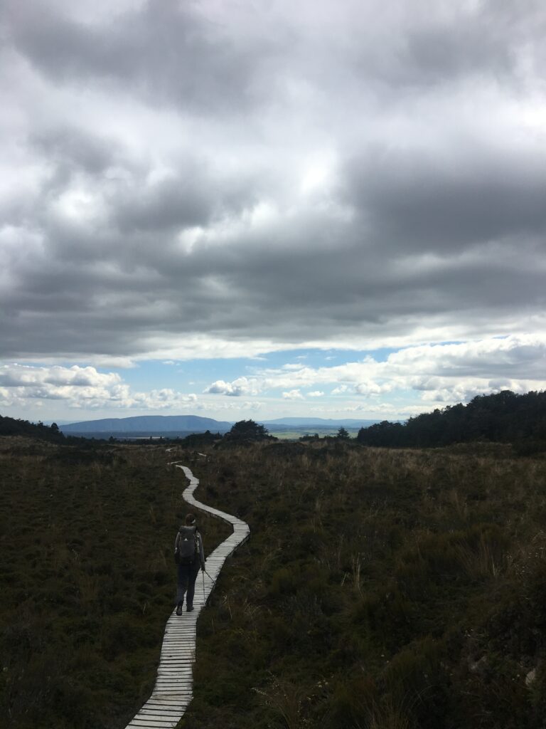 te araroa trail 130