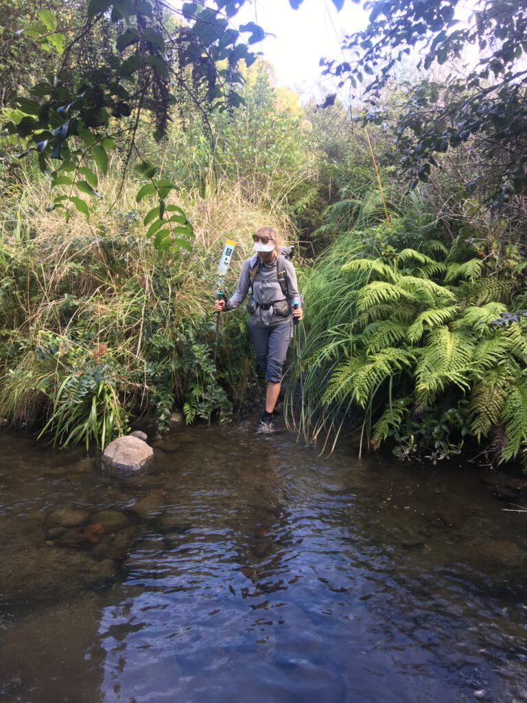 te araroa trail 139