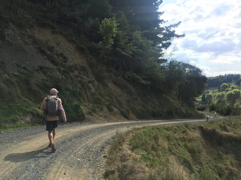 te araroa trail 141