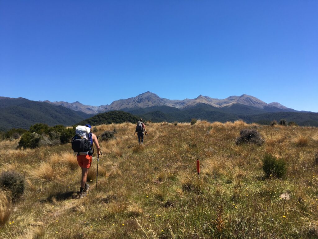 te araroa trail 16