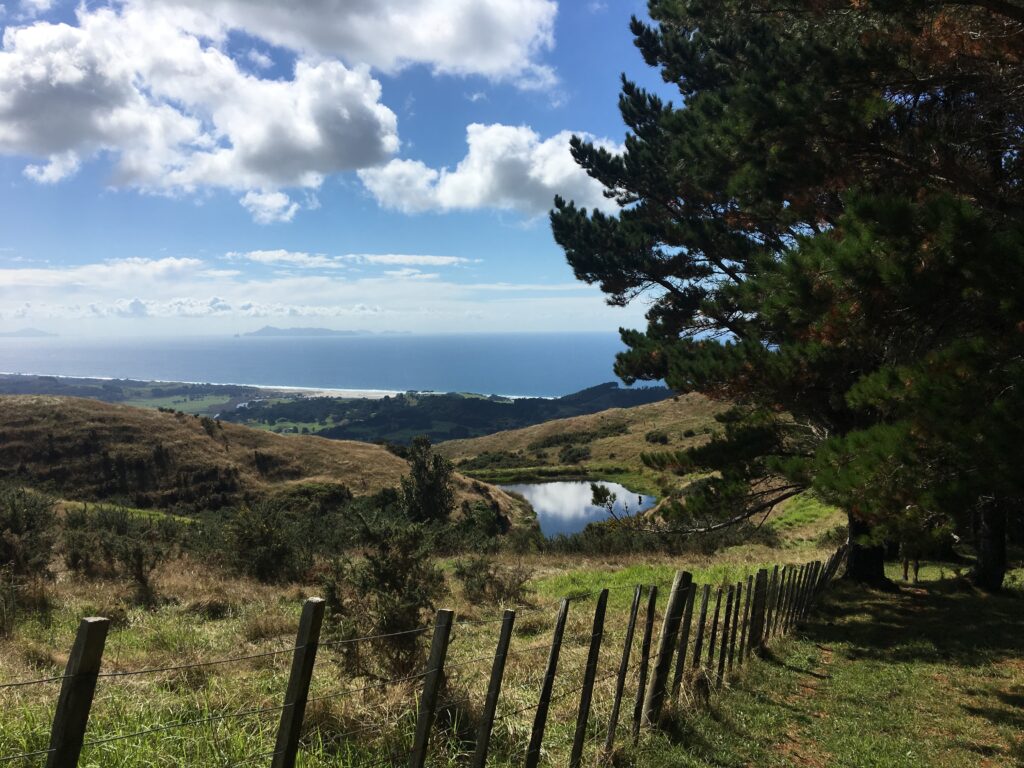 te araroa trail 166