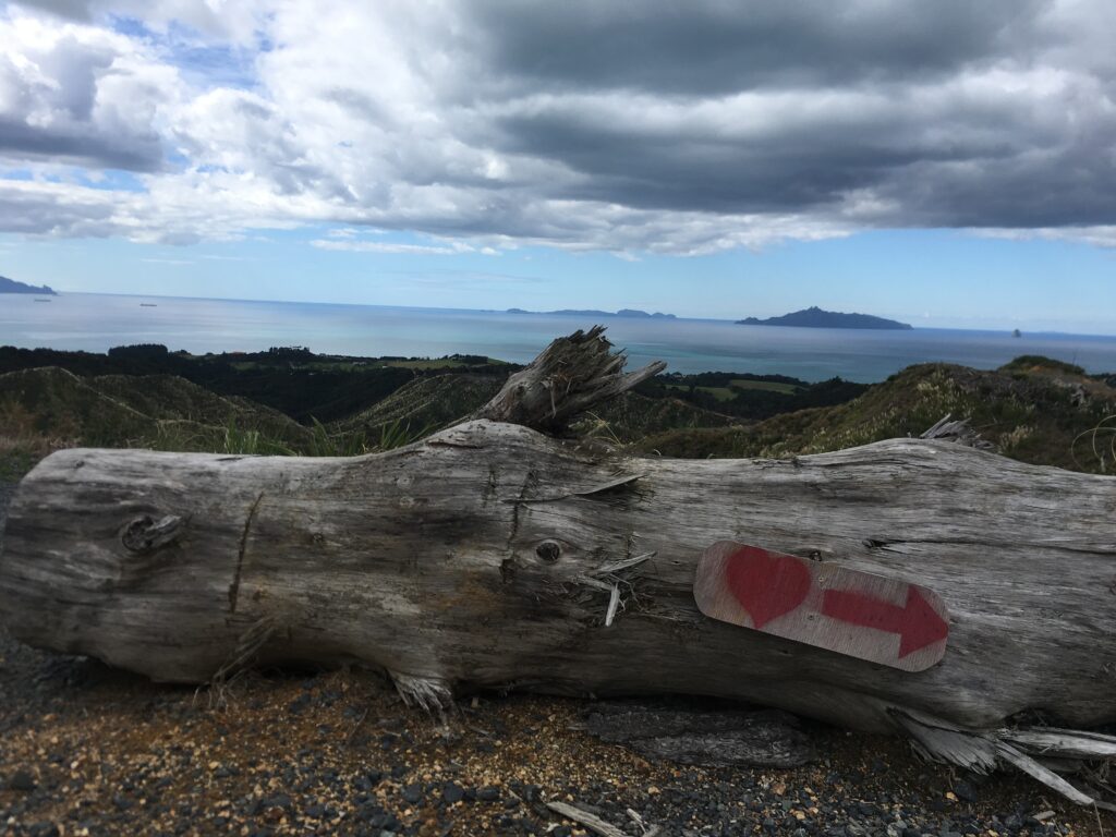 te araroa trail 177