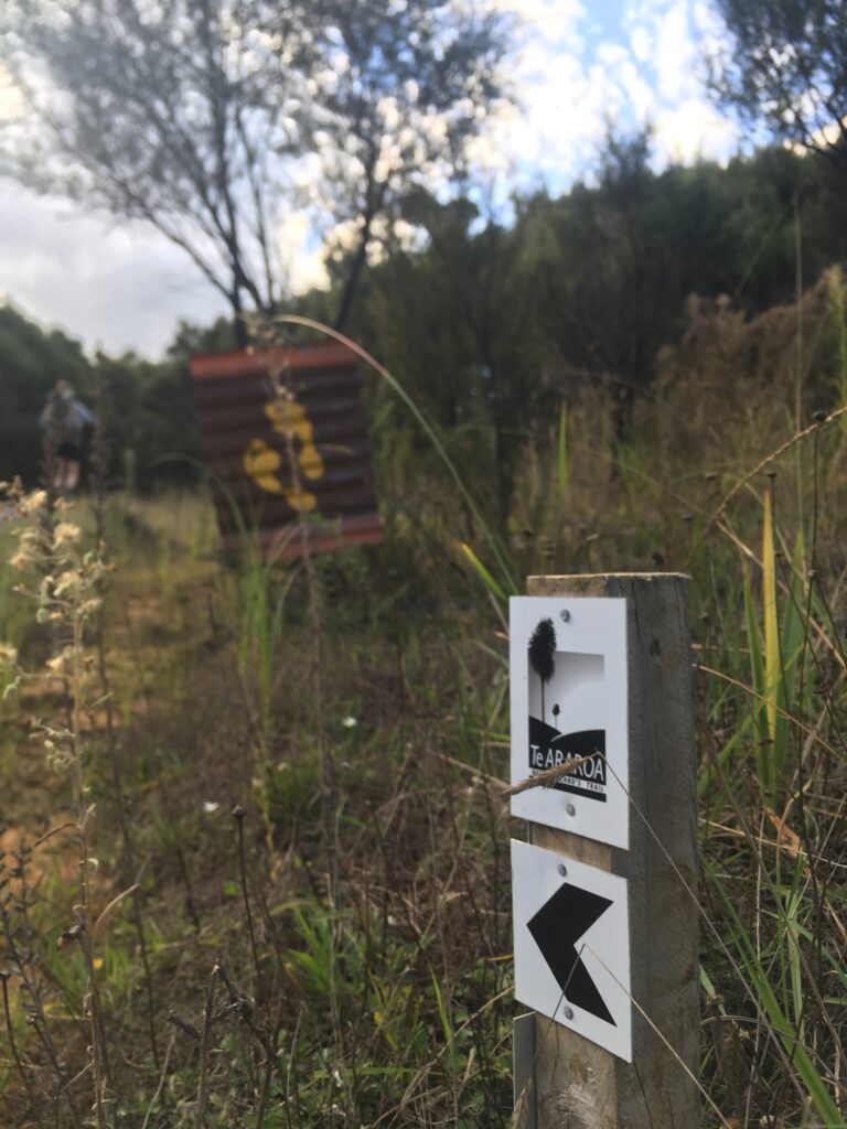 te araroa trail 189