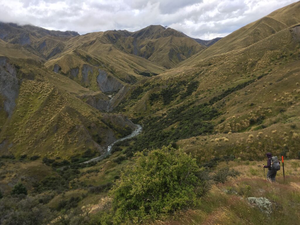 te araroa trail 37