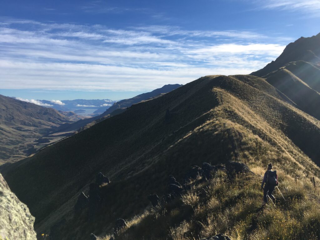 te araroa trail 38