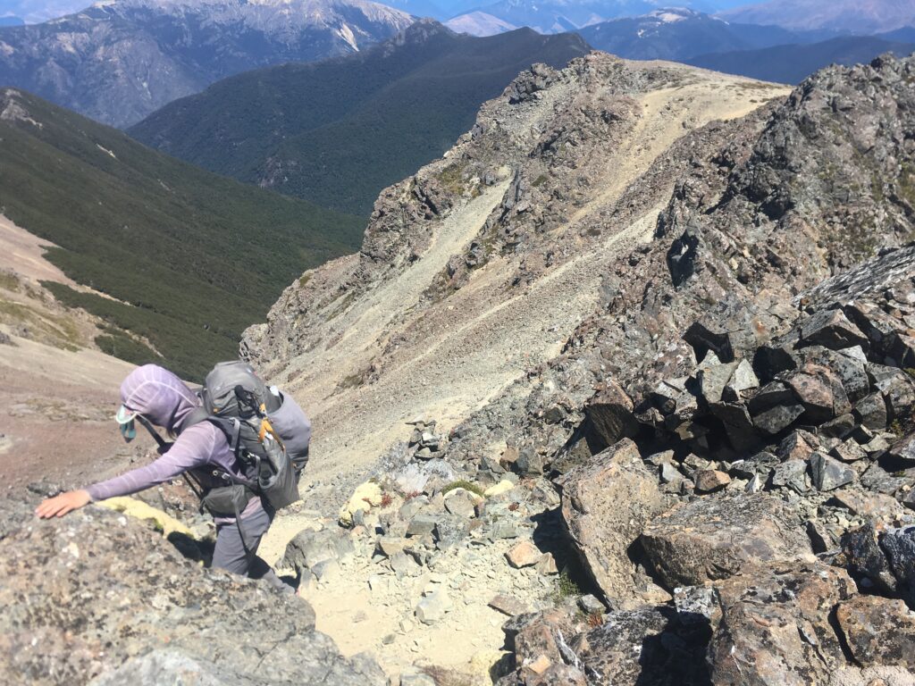 Nelson range on the North Island of the Te Araroa Trail