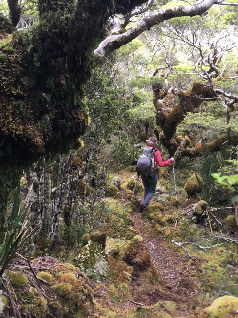 te araroa trail 9