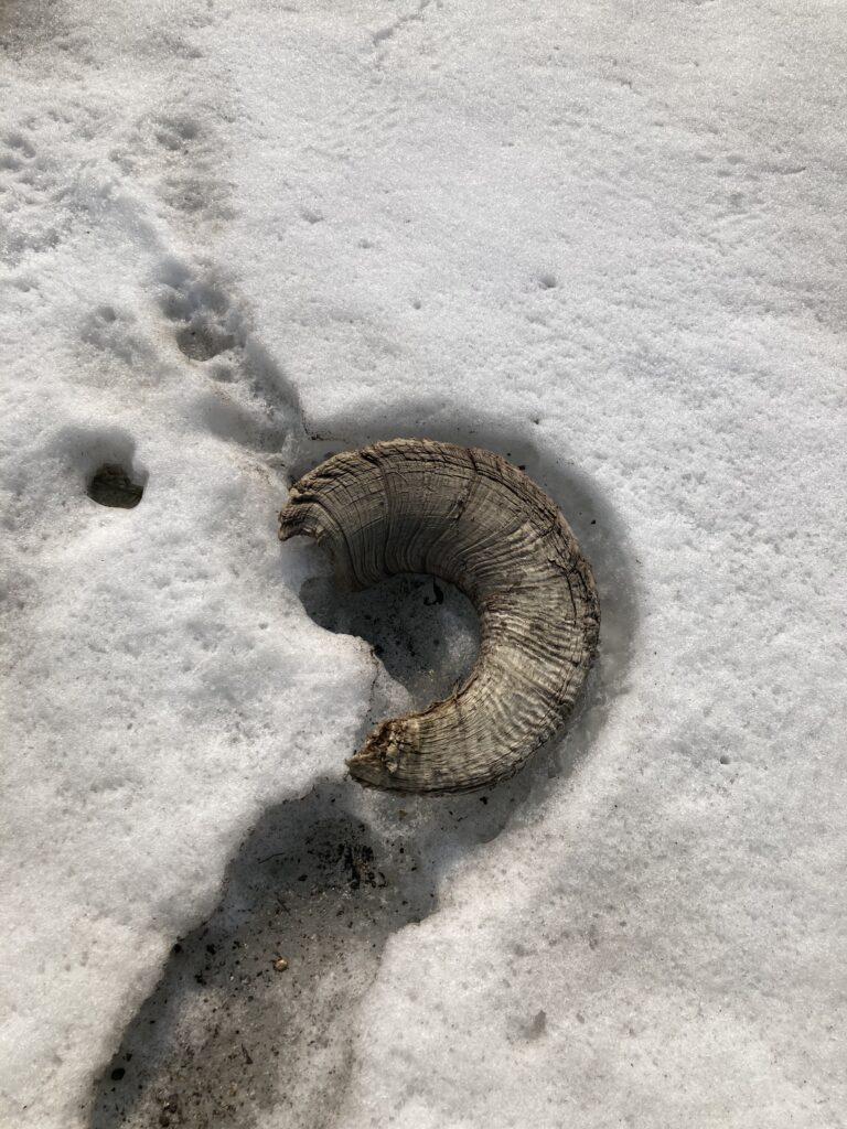 wind river high route 132