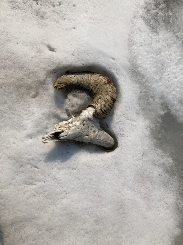 wind river high route 133