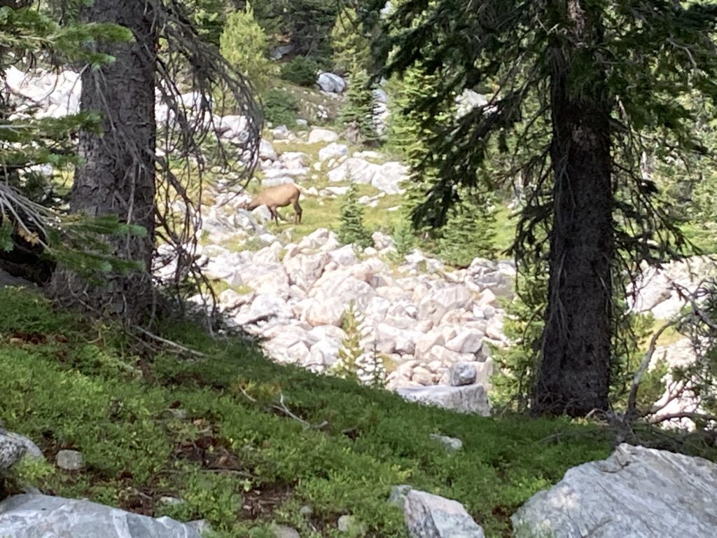 wind river high route 92
