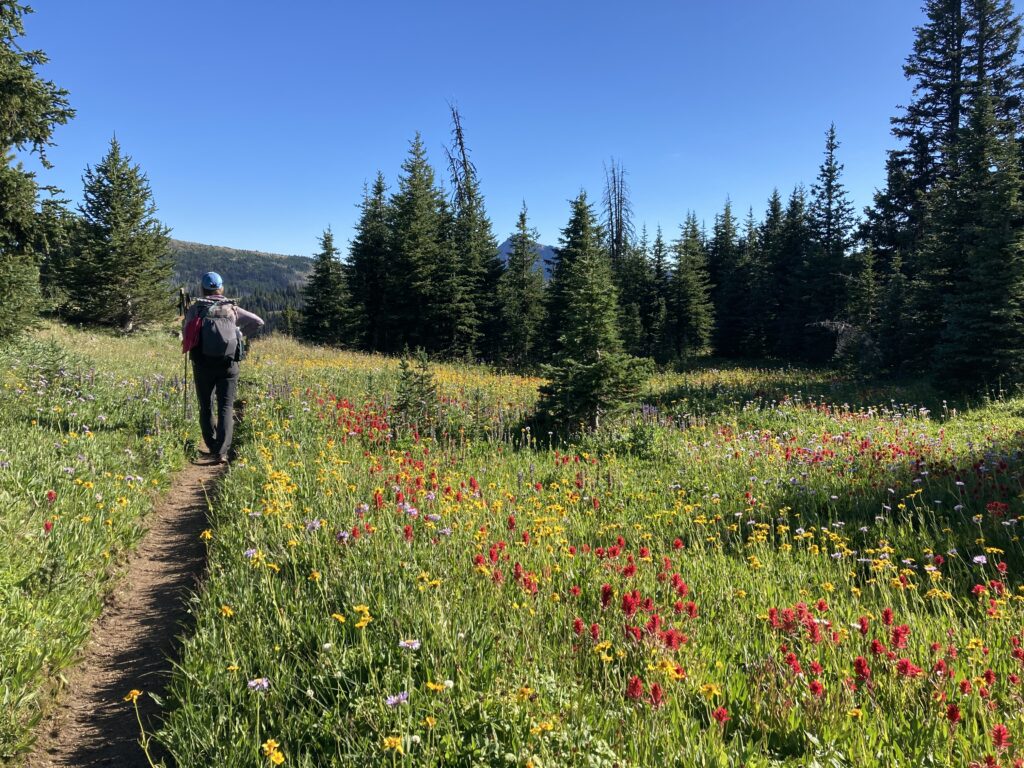 Carolyn walking through the wildflowers in the Pasayten Wilderness