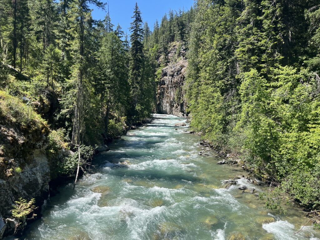 Agnes Creek in the Glacier Peak Wilderness of the Cascades