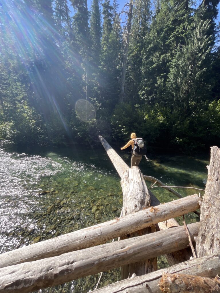 Log crossing over Agnes Creek in the Glacier Peak Wilderness of Cascades
