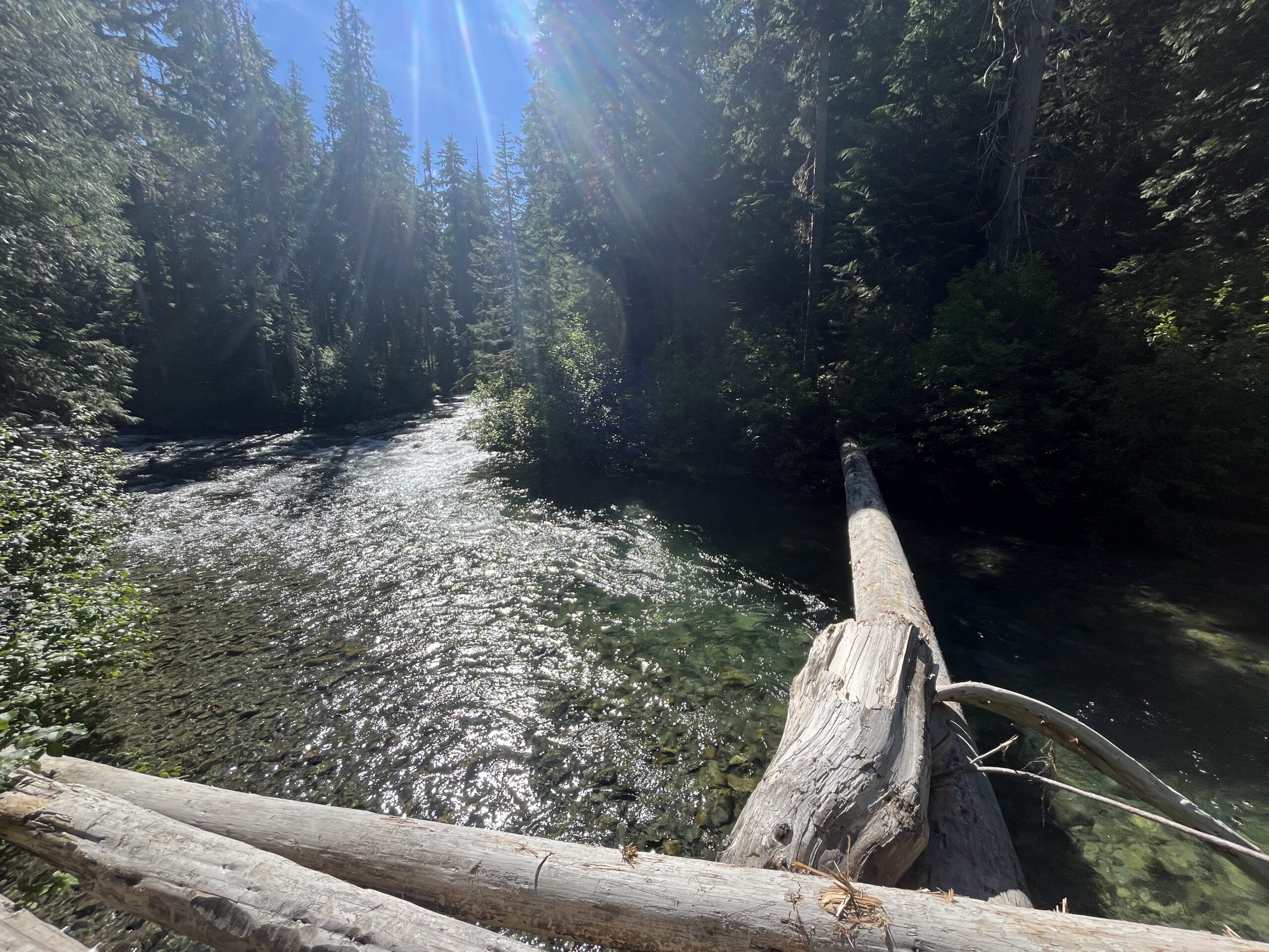 Large fallen tree across Agnes Creek in the Cascades of Washington State