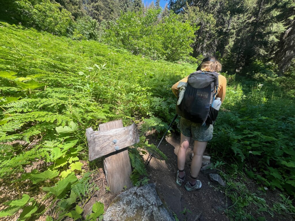 Sign post in the North Cascades of Washington State pointing towards Stiletto Peak