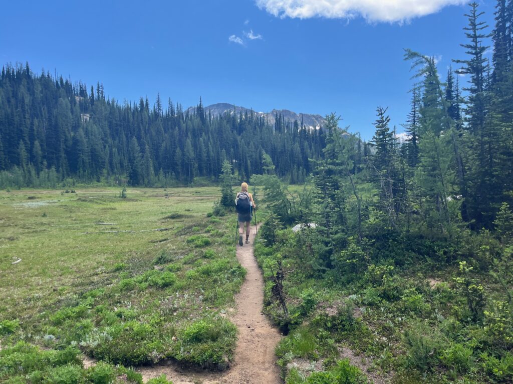 McAlester Pass trail, North Cascades, Washington State