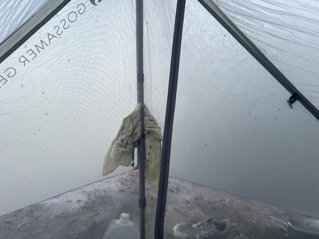Lots of bugs on tent mesh at Stiletto Lake in the North Cascades, Washington State