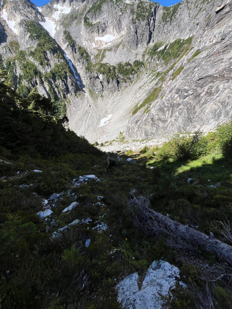 Big grassy slope along the North Cascades along the Isolation Traverse