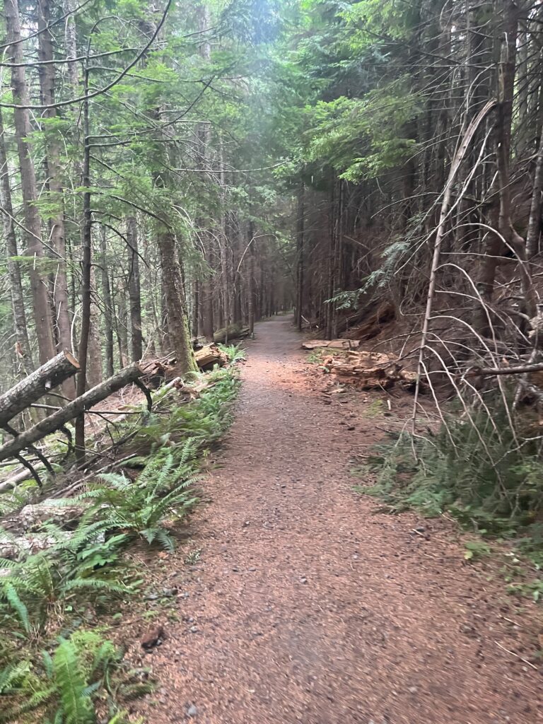 Shannon Ridge trail in North Cascades National Park near Mount Shuksan