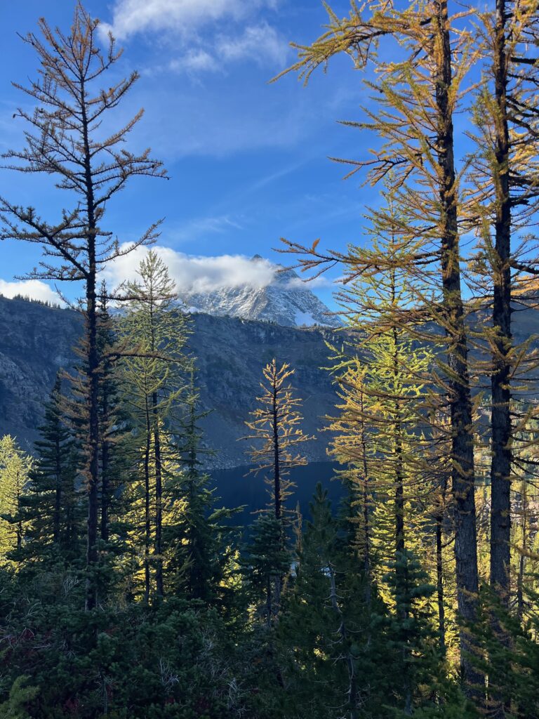 View of Jack Mountain through Fall larch trees in the North Cascades