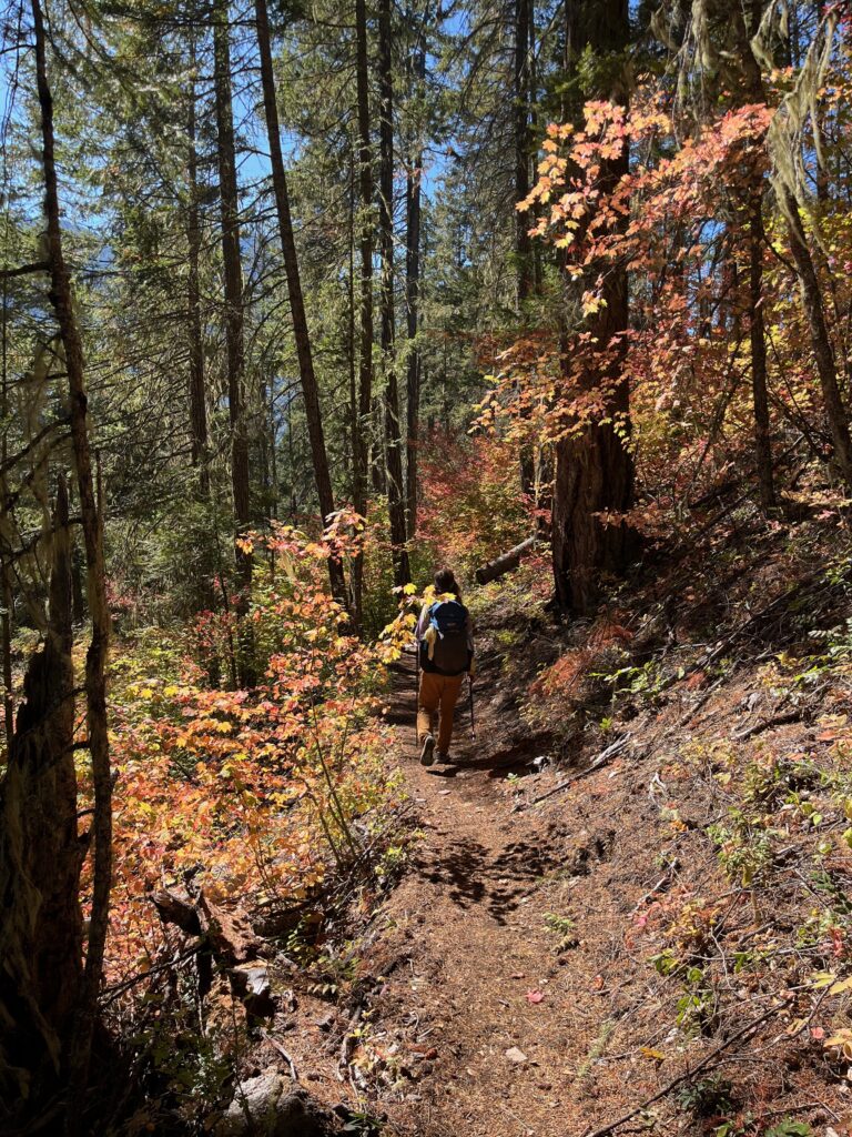 Fall colors on the Crater Peak trail in the North Cascades of Washington State