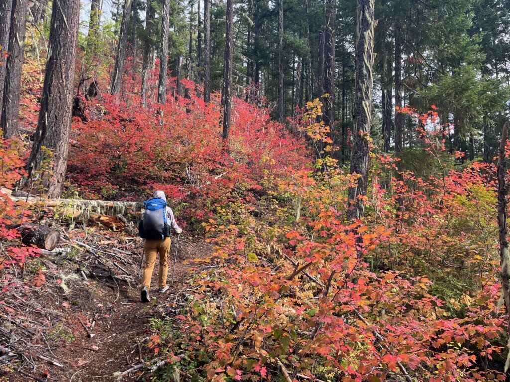 Carolyn hiking in the fall colors on the Crater Peak trail in Washington state