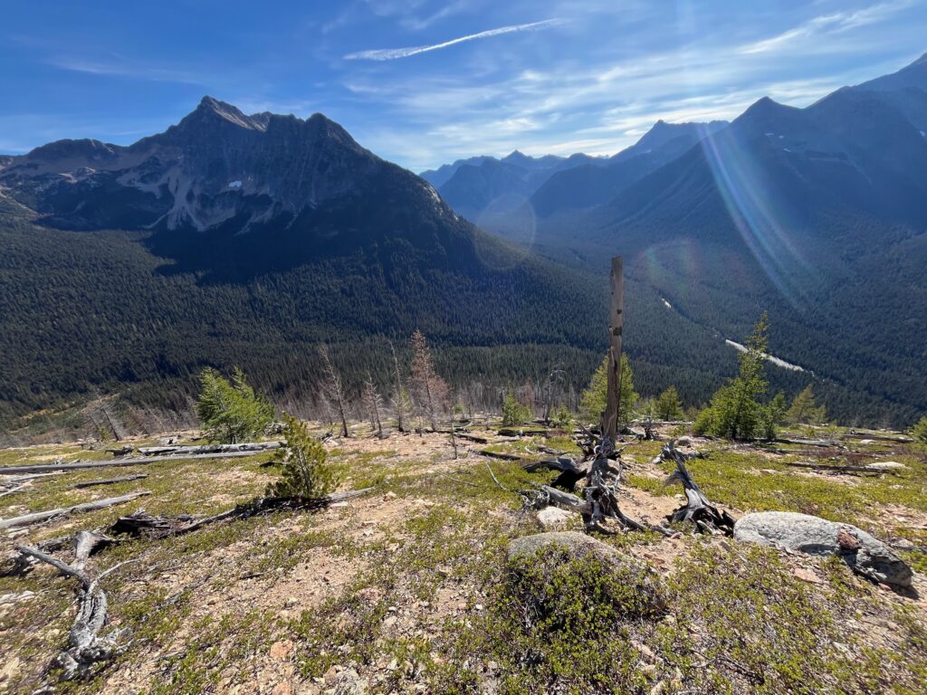 Burned open sandy slope on Mount Hardy in North Cascades of Washington State